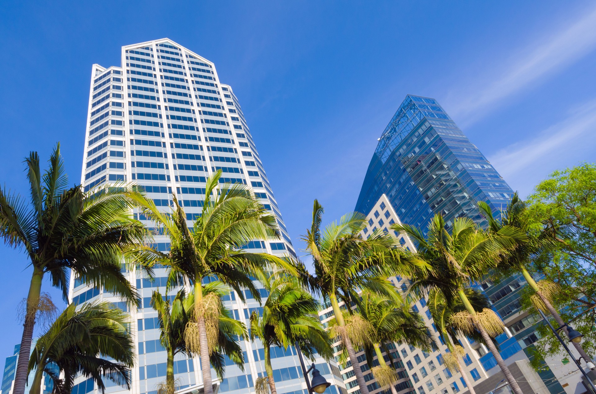 Office buildings and palm trees in downtown San Diego, CA