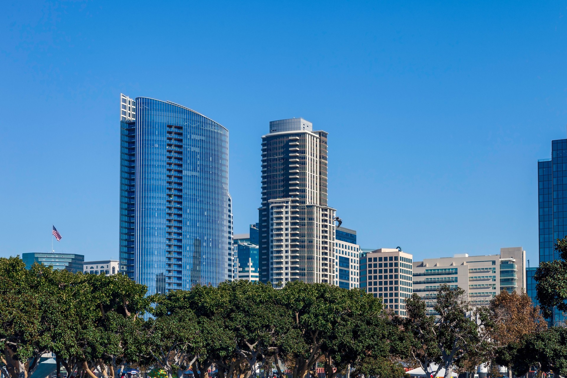 San Diego skyline under a clear blue sky overlooking the waterfront near the Embarcadero marina